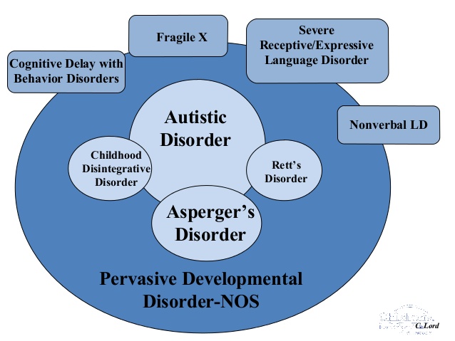 Adult Pervasive Developmental Disorder 59